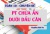 Cách giải phương trình chứa ẩn dưới dấu căn - Toán lớp 10